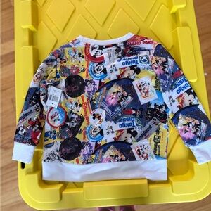Authentic Disney Parks sweatshirt